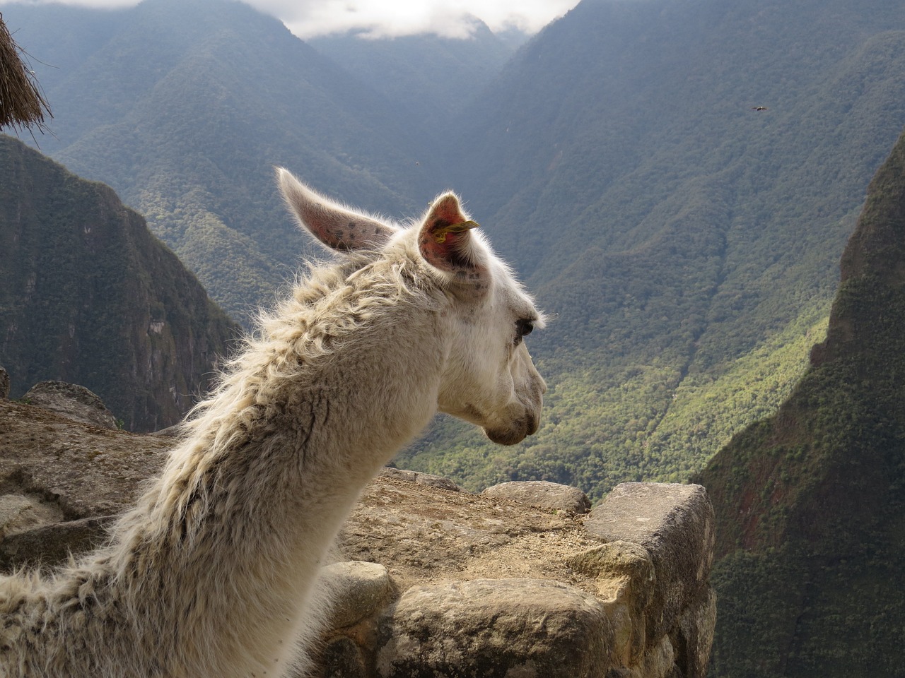 Top Destinations for a Cultural Tour in South America